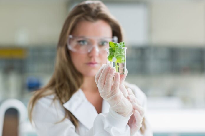 naturopath Melbourne