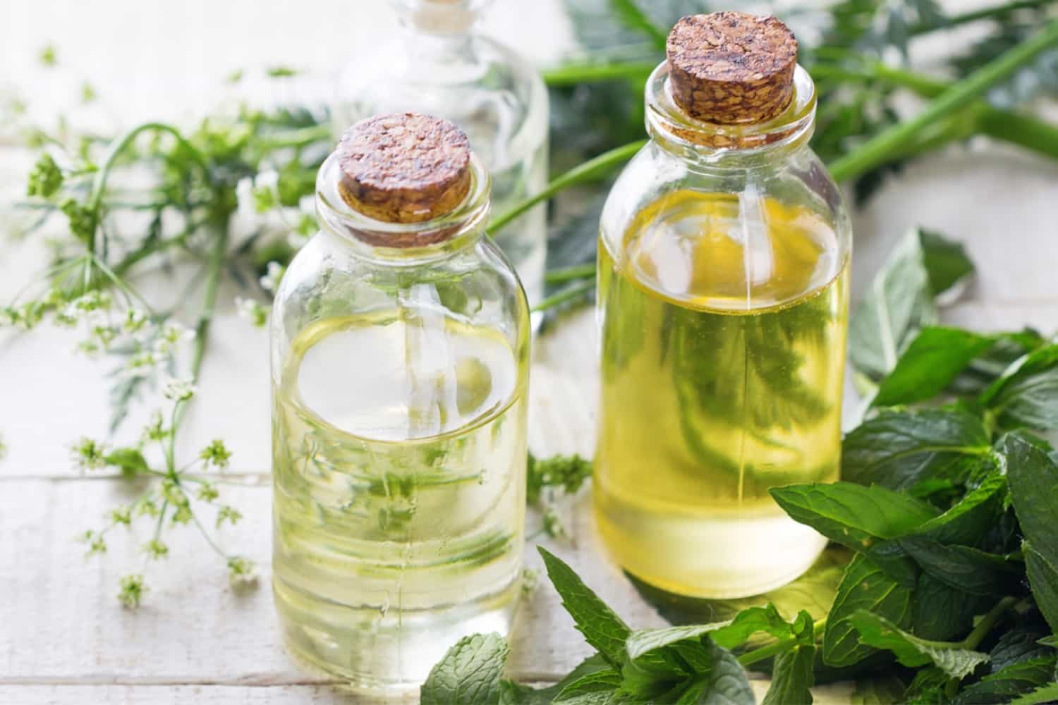 Naturopath Melbourne