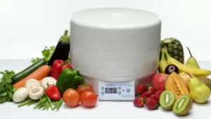 Dehydrator