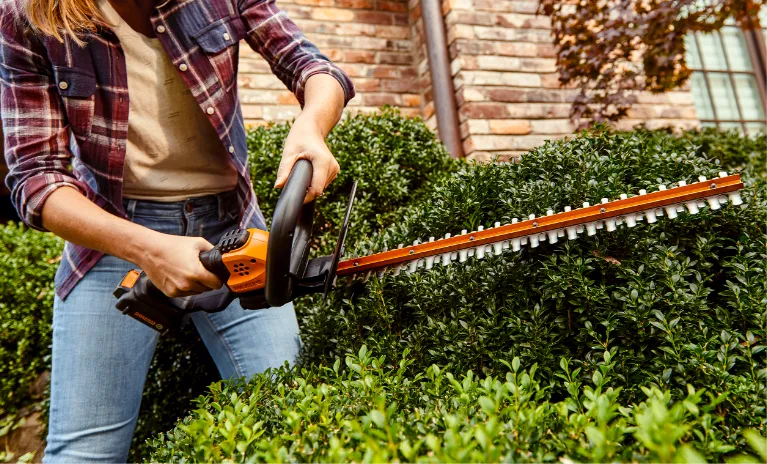 Best Hedge Trimmers Brisbane