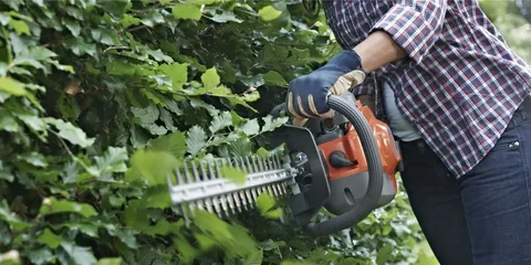 Best Hedge Trimmers Brisbane Best Hedge Trimmers Brisbane