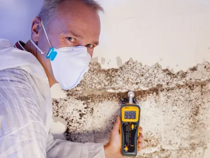 Sydney Mould Prevention Sydney Mould Prevention