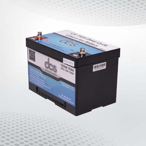 Deep-Cycle-Schiffsbatterie der Gruppe 24