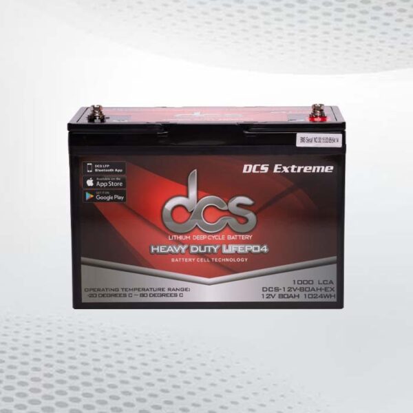12 deep cycle battery