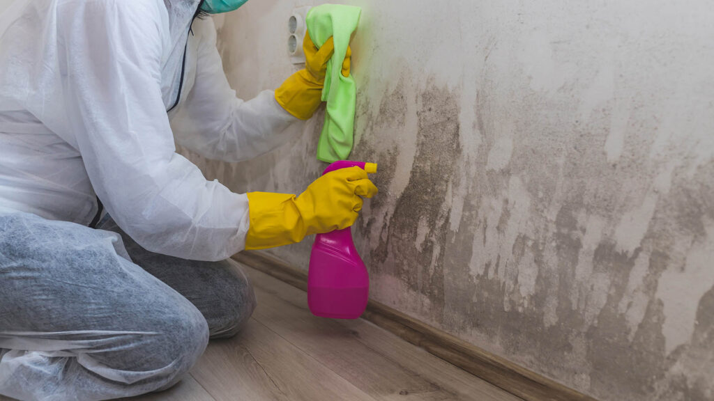 Commercial Mould Cleaning Sydney